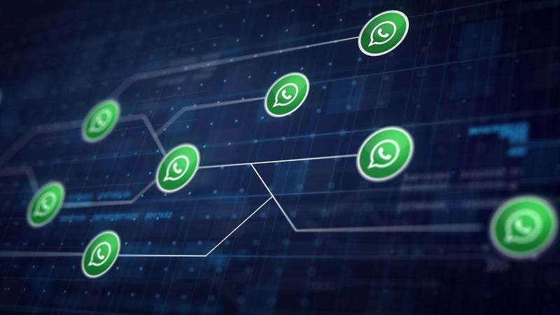Logicalshout Updates WhatsApp